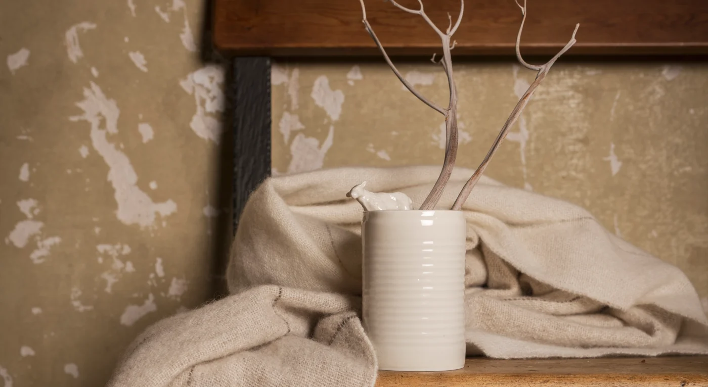 Chal cashmere Baatsa y pieza porcelana artesanal